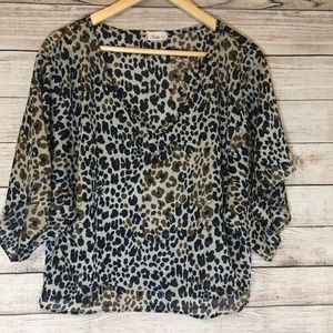 Sheer Cheetah Top